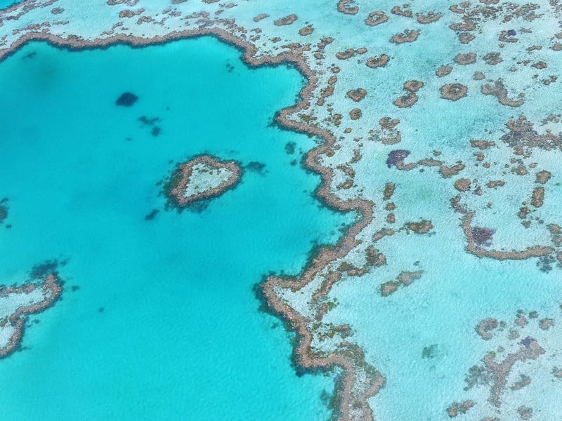 Diving in Great Barrier Reef